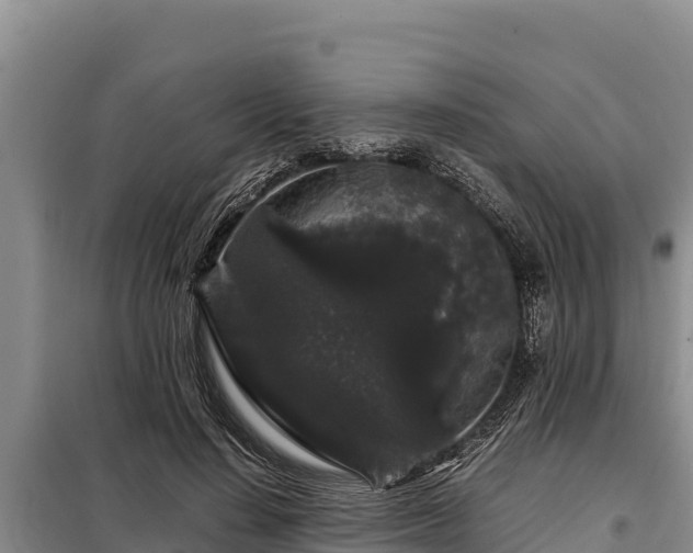 X0000099310644200805091019