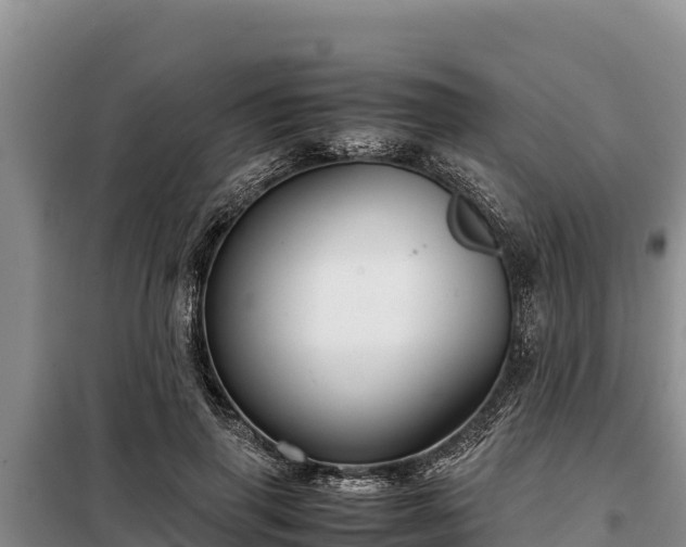 X0000099310645200805091019