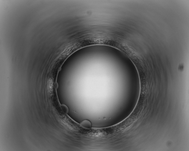 X0000099310646200805091019