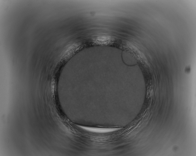 X0000099310647200805091019