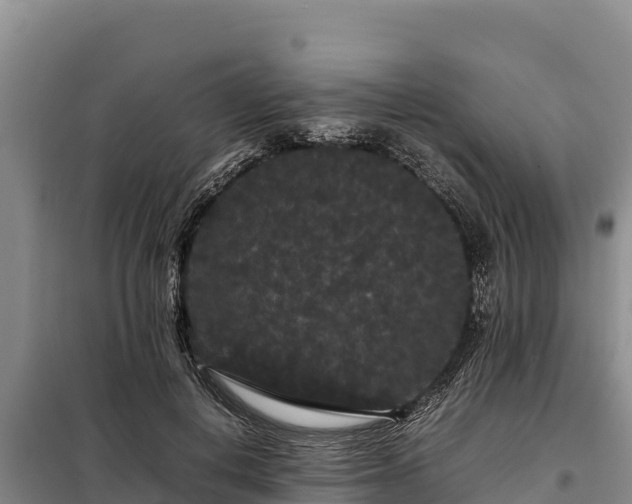 X0000099310648200805091019