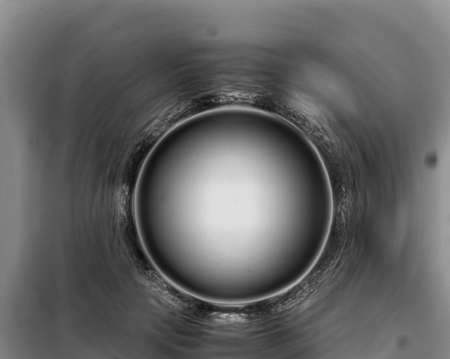 X0000099310649200805091019