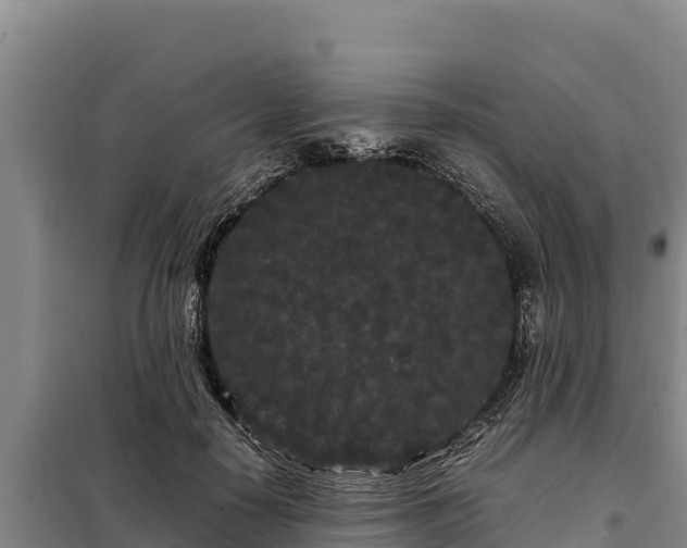 X0000099310650200805091019