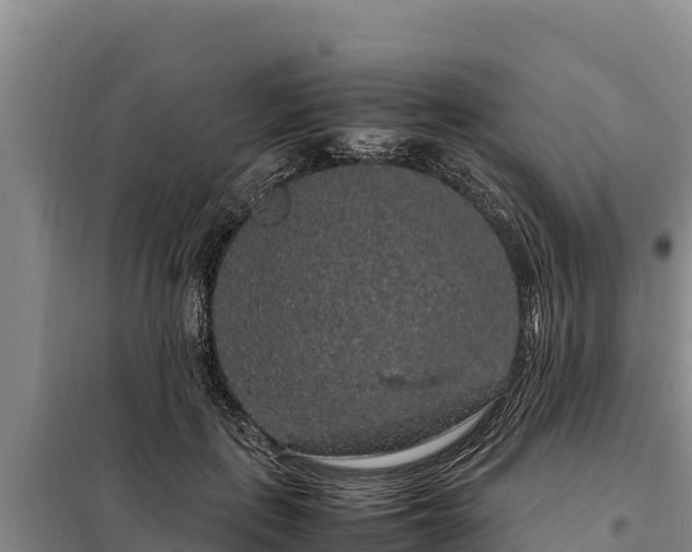 X0000099310651200805091019