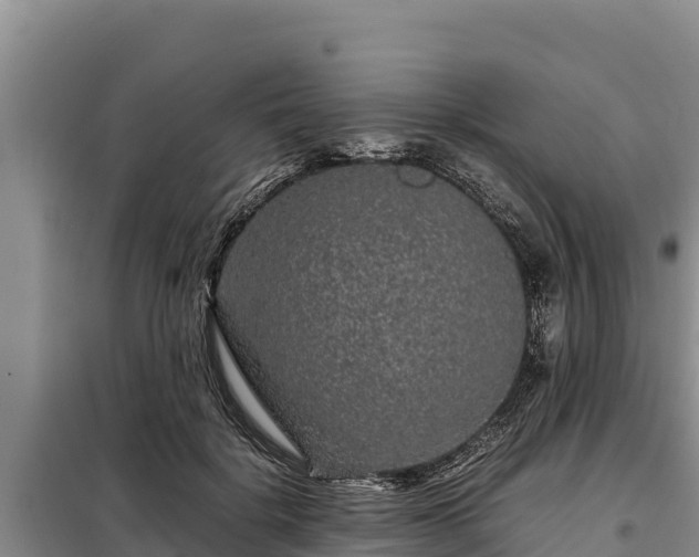 X0000099310652200805091019