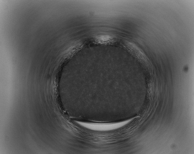 X0000099310653200805091019