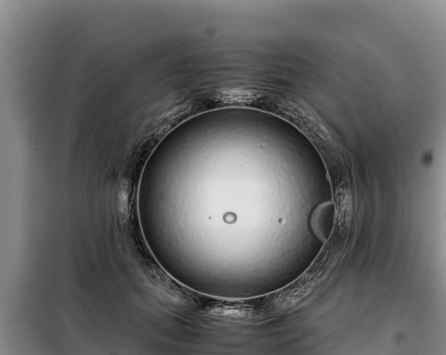 X0000099310655200805091019