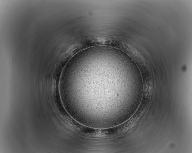 X0000099310656200805091019