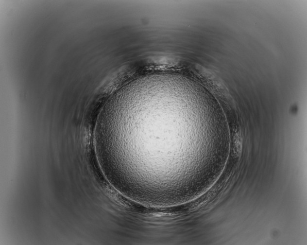 X0000099310657200805091019