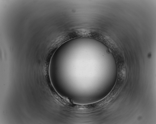 X0000099310658200805091019