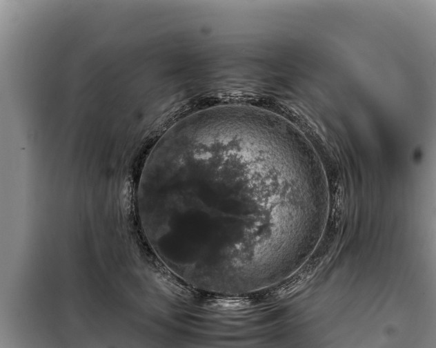 X0000099310659200805091019