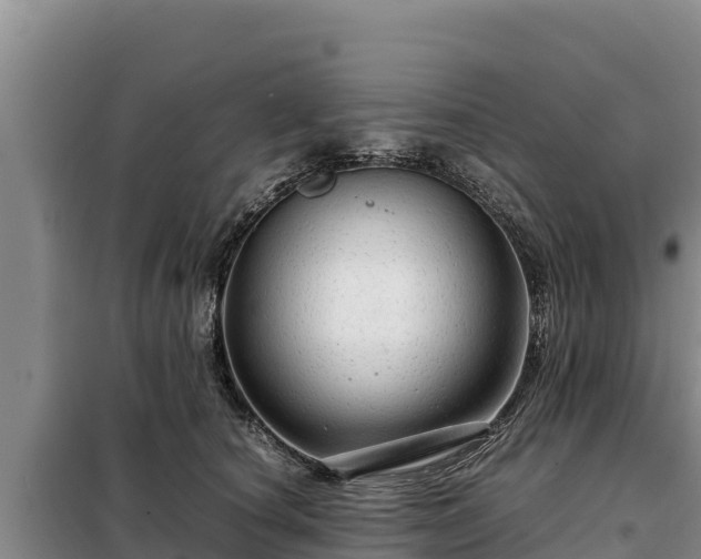 X0000099310660200805091019