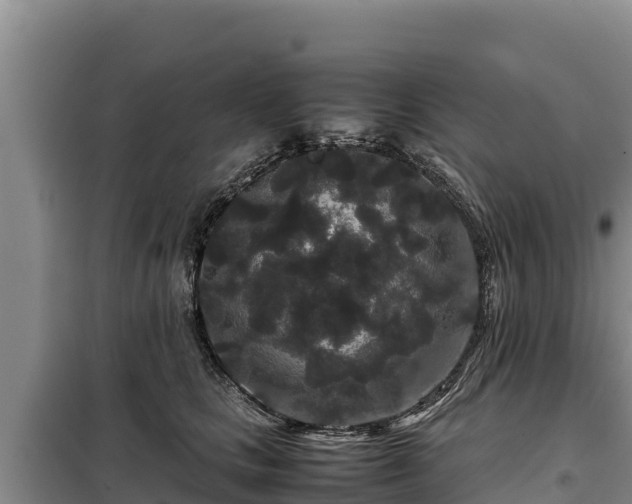 X0000099310661200805091019