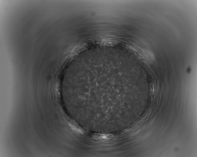 X0000099310663200805091019