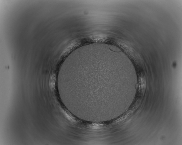 X0000099310664200805091019