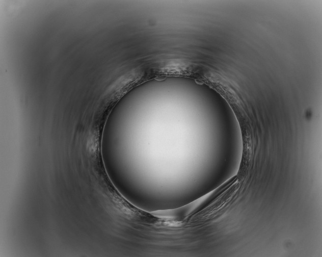 X0000099310665200805091019