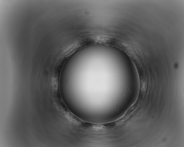 X0000099310666200805091019