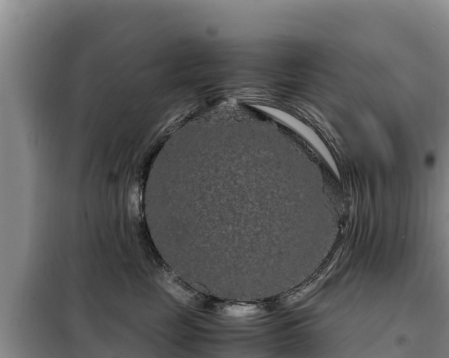 X0000099310669200805091019