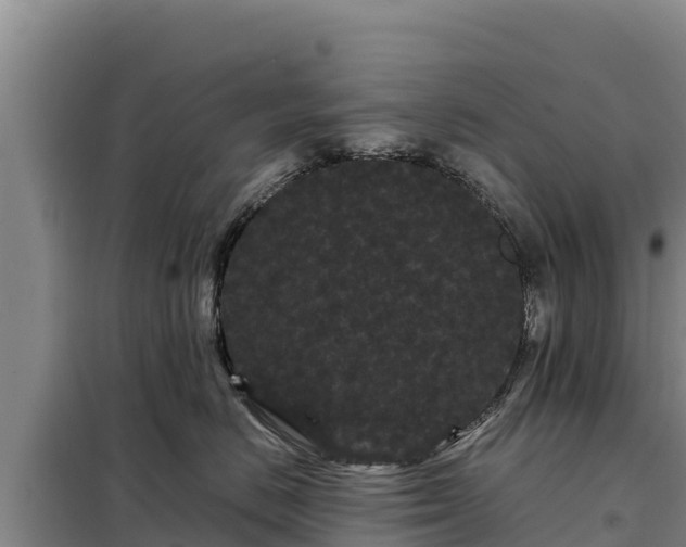 X0000099310670200805091019