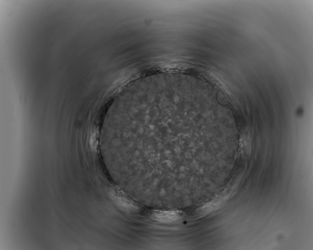 X0000099310671200805091019