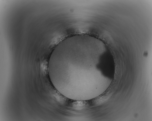 X0000099310672200805091019