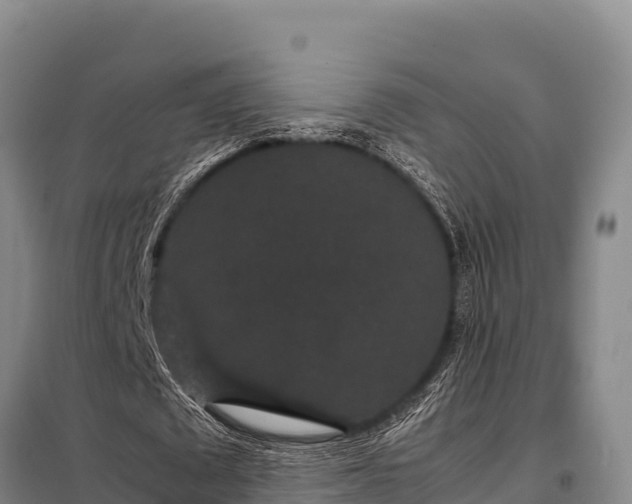 X0000099310673200805091018