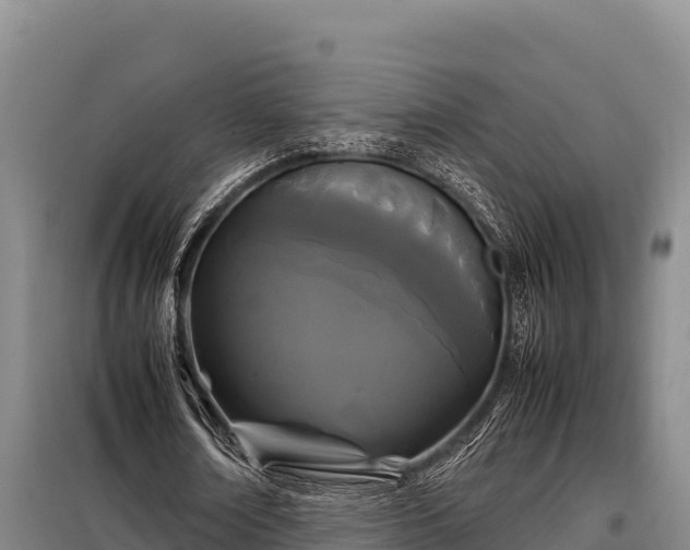 X0000099310674200805091018