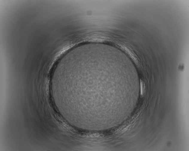 X0000099310675200805091018