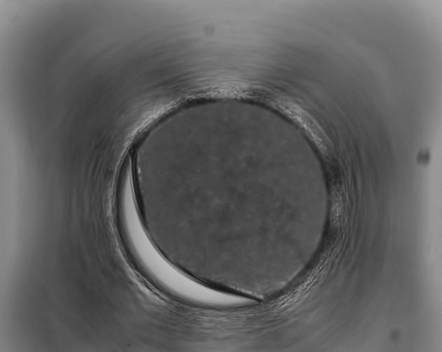 X0000099310677200805091018