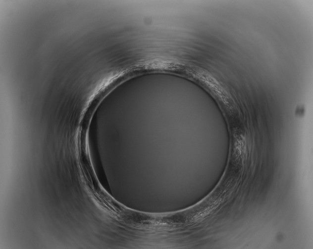 X0000099310678200805091018