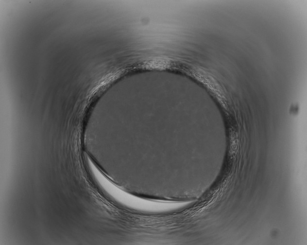 X0000099310681200805091018