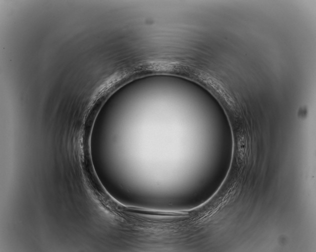 X0000099310682200805091018