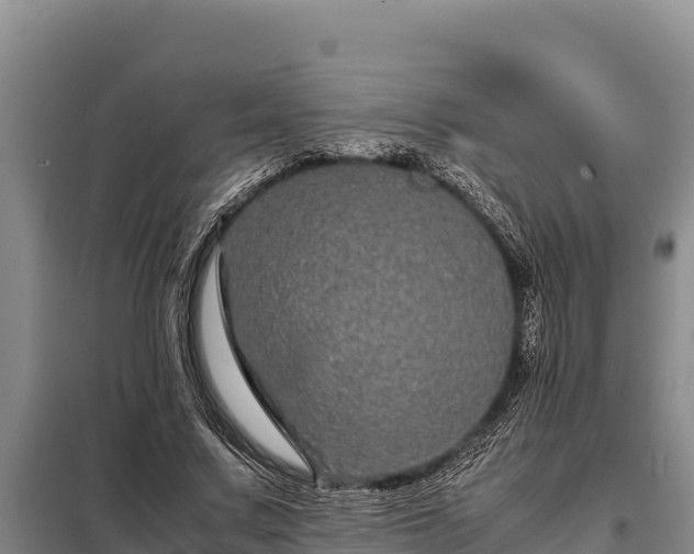 X0000099310683200805091018