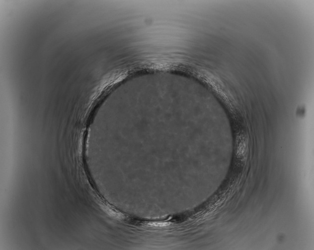 X0000099310685200805091018