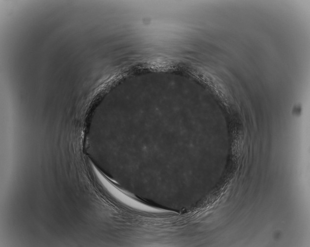 X0000099310689200805091018