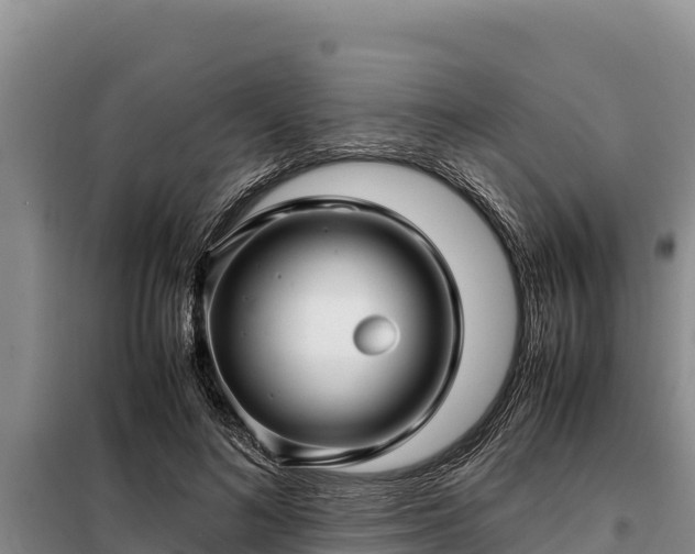 X0000099310692200805091018