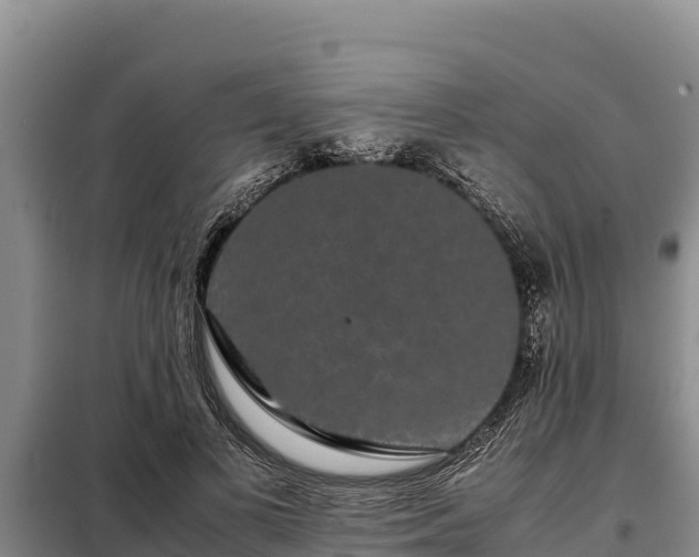 X0000099310693200805091018