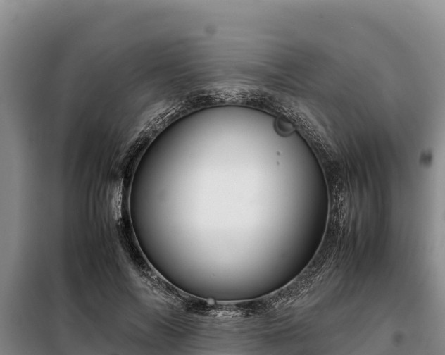 X0000099310694200805091018