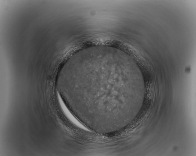 X0000099310695200805091018