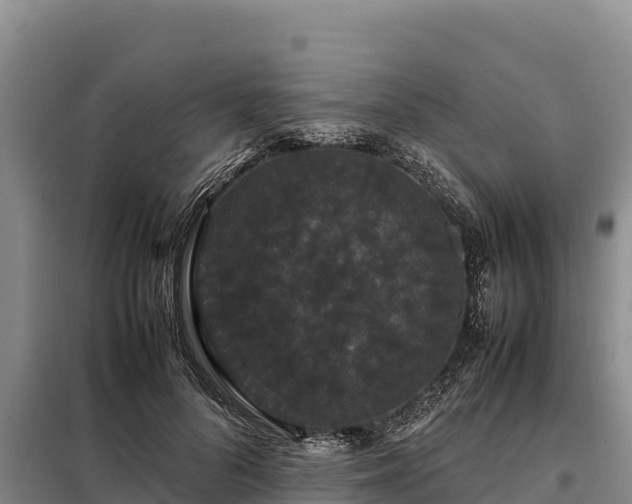 X0000099310696200805091018