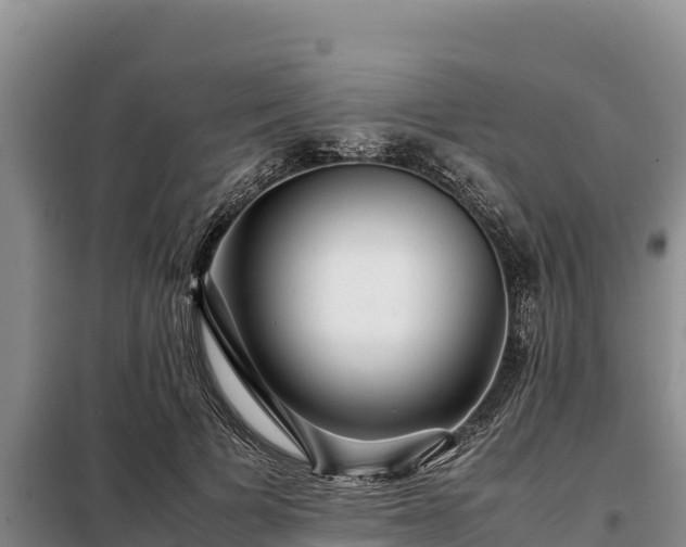 X0000099310697200805091018