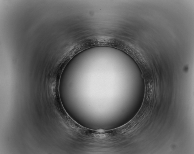 X0000099310698200805091018