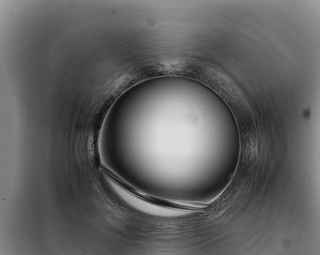 X0000099310700200805091018