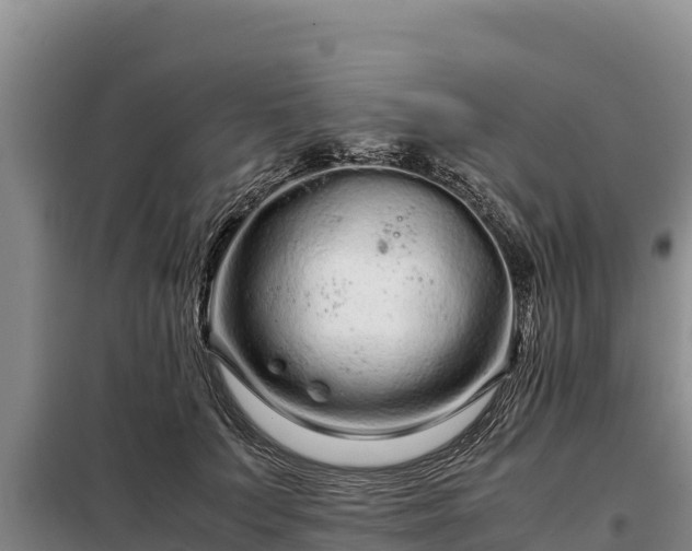 X0000099310703200805091018