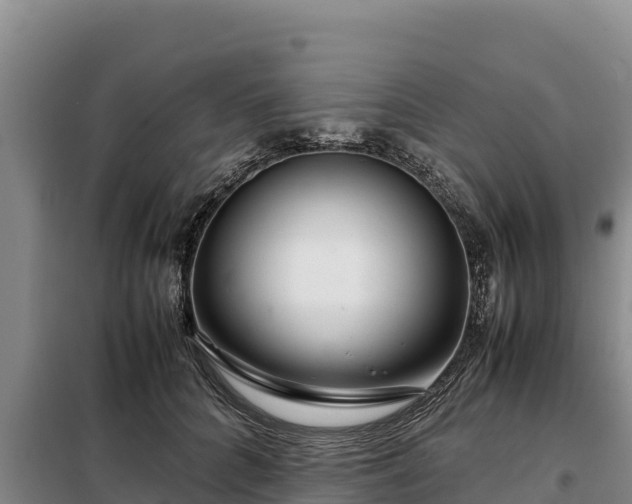 X0000099310704200805091018