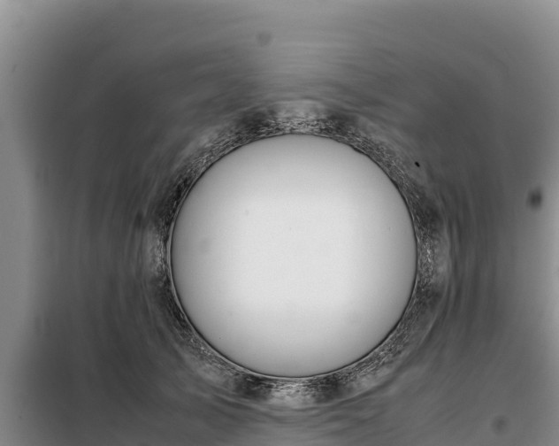 X0000099310705200805091018