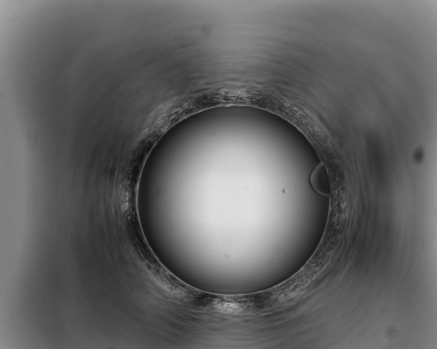 X0000099310706200805091018