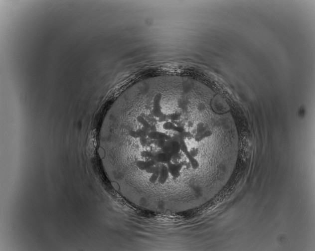 X0000099310707200805091018