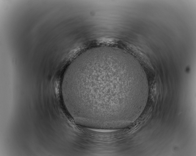 X0000099310708200805091018