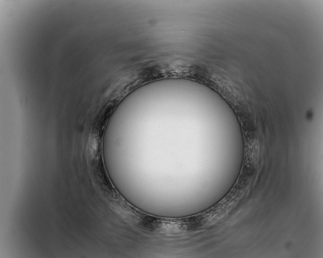 X0000099310709200805091018